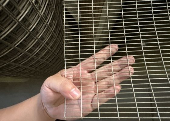 1/4'' 1/2'' Stainless Steel Welded Mesh For Local Welding Free Sample Available