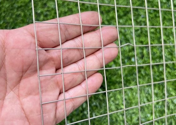 Stainless Steel Square Mesh Welded Iron Wire Mesh Fence Roll For Breed Animal