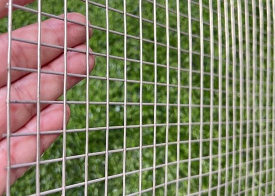 Long Hole Stainless Steel Welded Mesh 1 /2 inch Free Sample Square Hole Design for Robust