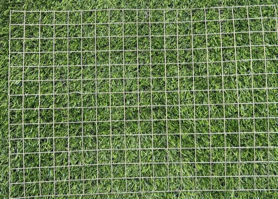 Corrosion Resistance SS Welded 1/2 1/4 Inch 1Inch Bird Cage Wire Mesh