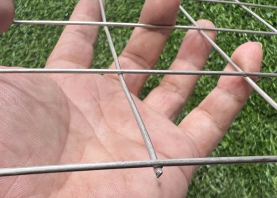 Stainless Steel Wire Mesh Panels In Various Widths From 0.5m To 2m SS Weld Mesh