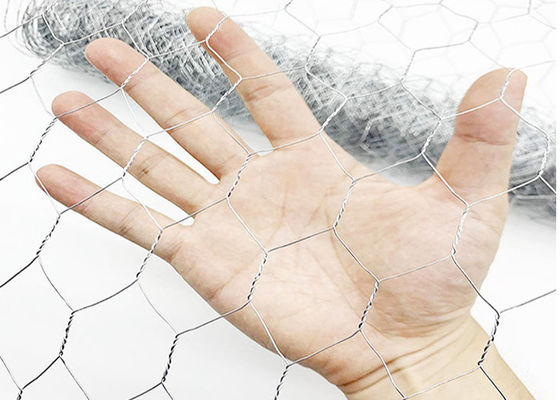 Length 10-50m Chicken Coop Wire Mesh With Zinc Coating 20g/M2-60g/M2
