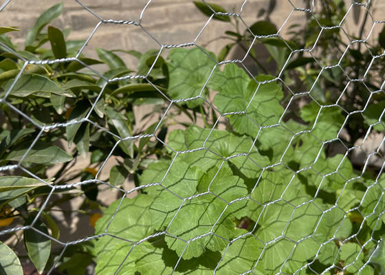 0.4mm-1.5mm Diameter Hexagon Wire Mesh Galvanized Iron