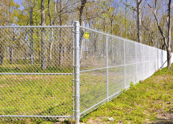 Hot Dipped Galvanized Chain Wire Mesh For Secure Garden Boundaries For Farm Field