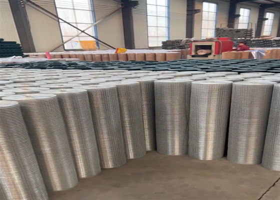Hot Dipped Galvanized 1/2inch Pvc Coated Welded Wire Mesh Zinc Coating 120g/M2