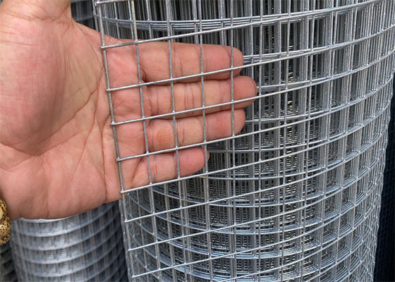Hot Dipped  1/2 Inch Welded Wire Mesh Roll Smooth Surface