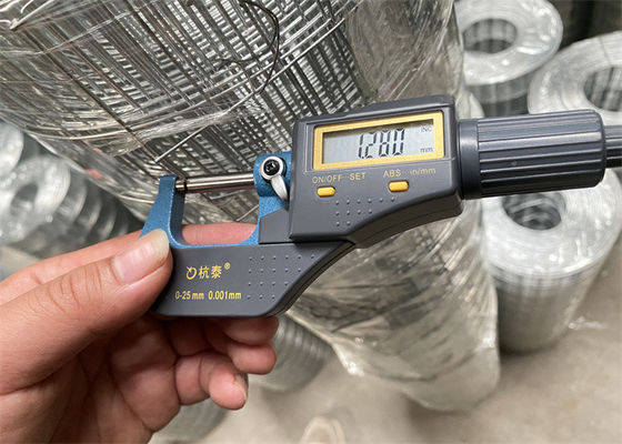 Hot Dip Galvanized 1/2 inci Pvc Coated Welded Wire Mesh Zinc Coating 120g/M2