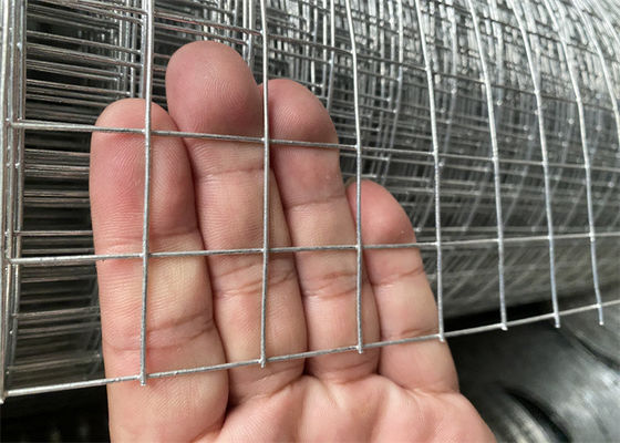 1inch Hot Galvanized Welded Iron Wire Mesh For Fencing Galvanized Mesh Roll