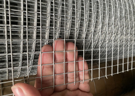 Galvanized Welded Iron Wire Mesh With Welded Weaving Type Wire Diameter 0.5mm 0.9mm