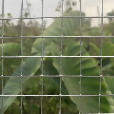 1 Inch Hot Dipped Galvanised Welded Mesh Animal Protection Fence