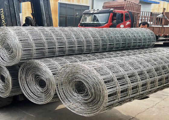 Galvanised Mesh Roll For Rabbit And Chicken Netting 30m 50m Length