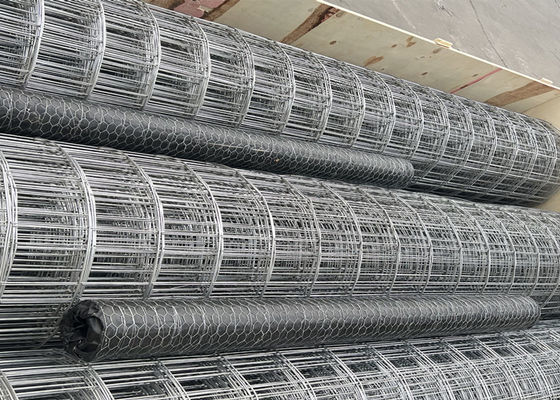 0.25 Inch Hot Dip Welded Wire Mesh 1/4 Inch Hardware Kain Anti Korosi
