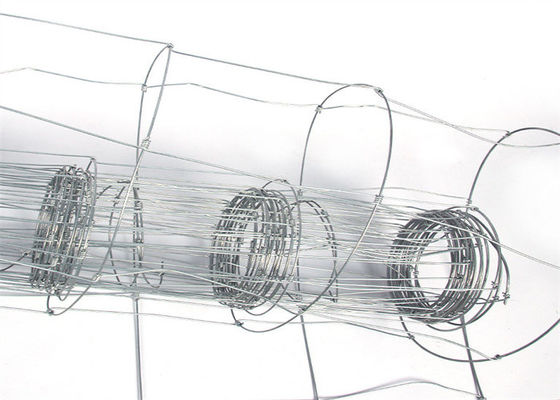 Tensile Strength 350MPa-550MPa Galvanized Barbed Wire 12.5G-14G For Farm Fence