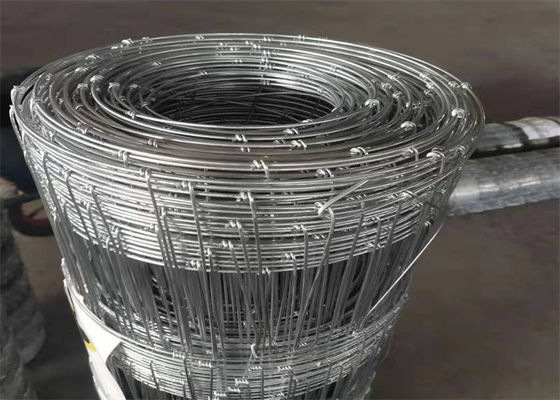 Galvanized Iron Wire Farm Mesh Fence Silver Color With Hot Dipped Zinc Coating For Easy Installation