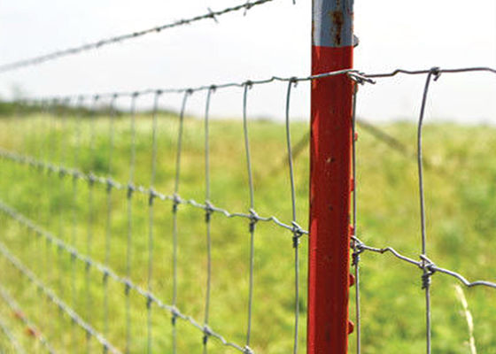 Hot Dipped Galvanized Welded Wire Deer Fence 3ft-8ft Height With Corrosion Resistance