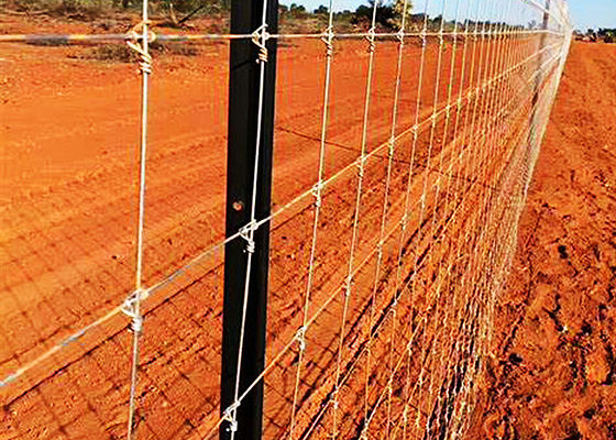 Galvanized Grassland Wire Fence Cattle / Sheep / Field / Deer Farm Fence