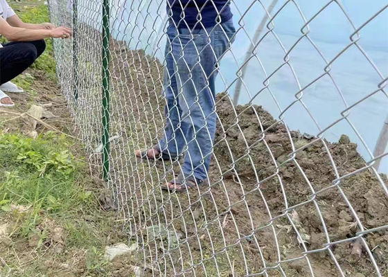 Galvanized Square Chain Link Fencing Mesh 0.5m-4m Free Samples Available