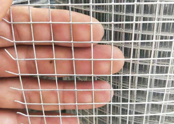 Hot Dip Galvanized Iron Wire Mesh 1/2 Inch Welded Wire Mesh Fence Roll