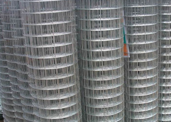 Hot Dipped Galvanized Welded Wire Mesh 10-30m Length Per Roll For Farm Fence