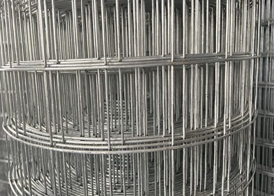 Sampel Gratis Galvanized Welded Wire Mesh Roll Untuk Perlindungan Dan Dekorasi