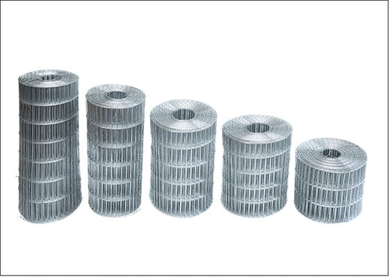 Iron Galvanized Welded Wire Mesh Roll For Bird Hot dipped Zinc Coated
