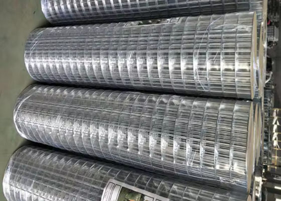 Supply Stainless Steel Welded Wire Mesh Affordable For Buyers