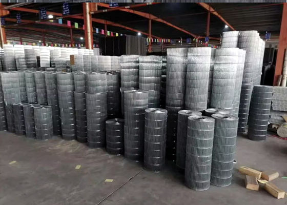 Hardware Kain Galvanis Besi Welded Wire Mesh Untuk kandang unggas Jaring Kandang Kelinci Panjang 30m 50m