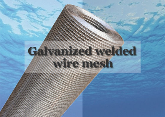 10 Gauge Galvanized Welded Wire Mesh Pr Untuk Pengukuhan Yang Lama