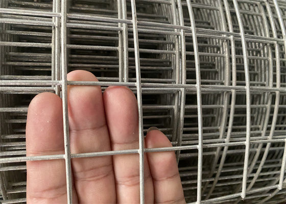 Hot Dipped Galvanized Welded Wire Mesh 14 16 Gauge  Free Sample Offered