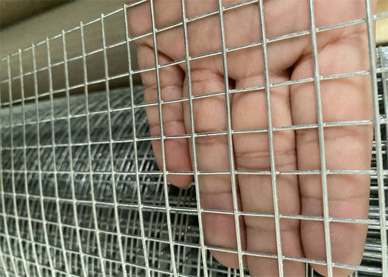 Hot Dipped Galvanized Welded Wire Mesh With 0.5mm 1.2mm