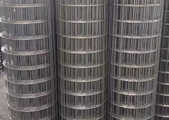2 X 4 Galvanized Wire Mesh Heavy Duty And Durable For 1'' Mesh Size 8 Gauge Welded Wire Mesh