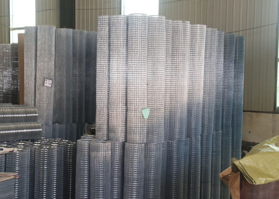 Customizable 8 Gauge Electric Galvanized Welded Wire Mesh Roll For Tree Guards