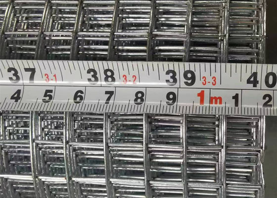 Hot Dipped Galvanized Welded Wire Mesh Roll or Piece for Chicken Farm Fencing Length 30m 50m
