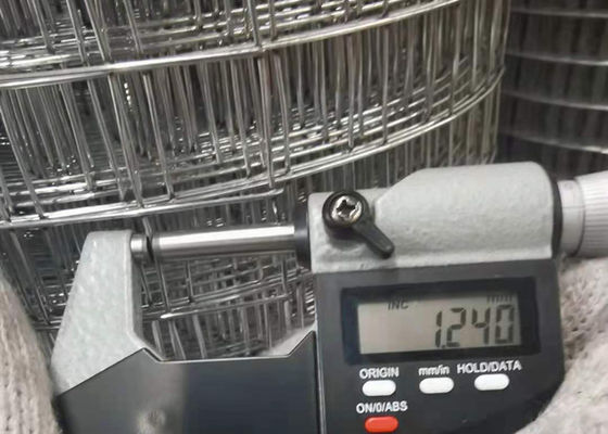 5/8 '' Ukuran Mesh Listrik Galvanized Welded Wire Mesh dengan Galvanized Sebelum Las
