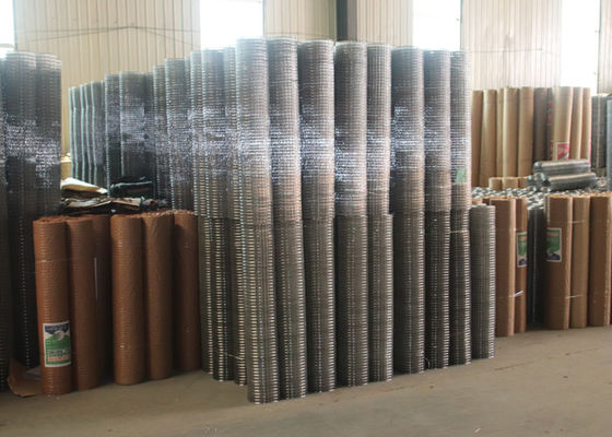 50x50  Welded Wire Mesh Panel And Galvanized Fence Wire Mesh