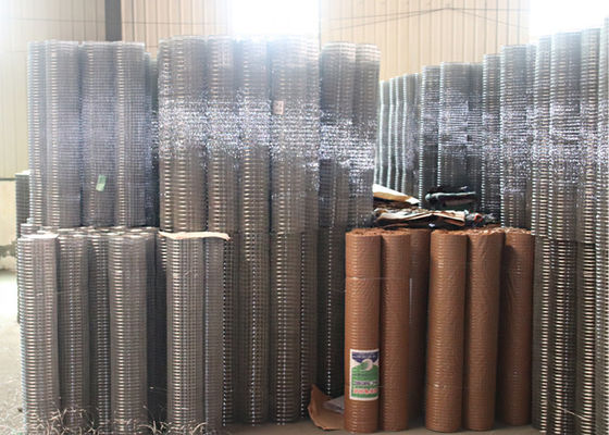 Low Carbon Steel Wire Galvanized Welded Mesh Wire Animal Fence Or Netting Rolls With 5/8'' Mesh Size