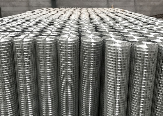 Permukaan halus Perak Elektro Galvanized Welded Wire Mesh Rolls 10-15g Lapisan Seng