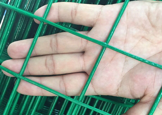Galvanized Iron Green Pvc Coated Steel Welded Wire Rolled Fencing Net Square Holes For Outdoor Garden Or Pet Cage