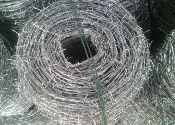 Zinc Coated Barbed Wire Fence For Enhanced Security And Protection
