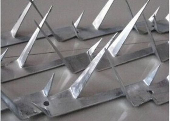 Anti Climb High Security Sharp Razor Blade Barbed Wire On Top Of Wall And Fence