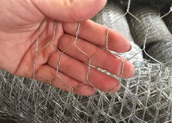 Double Twisted Galvanized Hexagonal Wire Mesh Untuk Peternakan Unggas